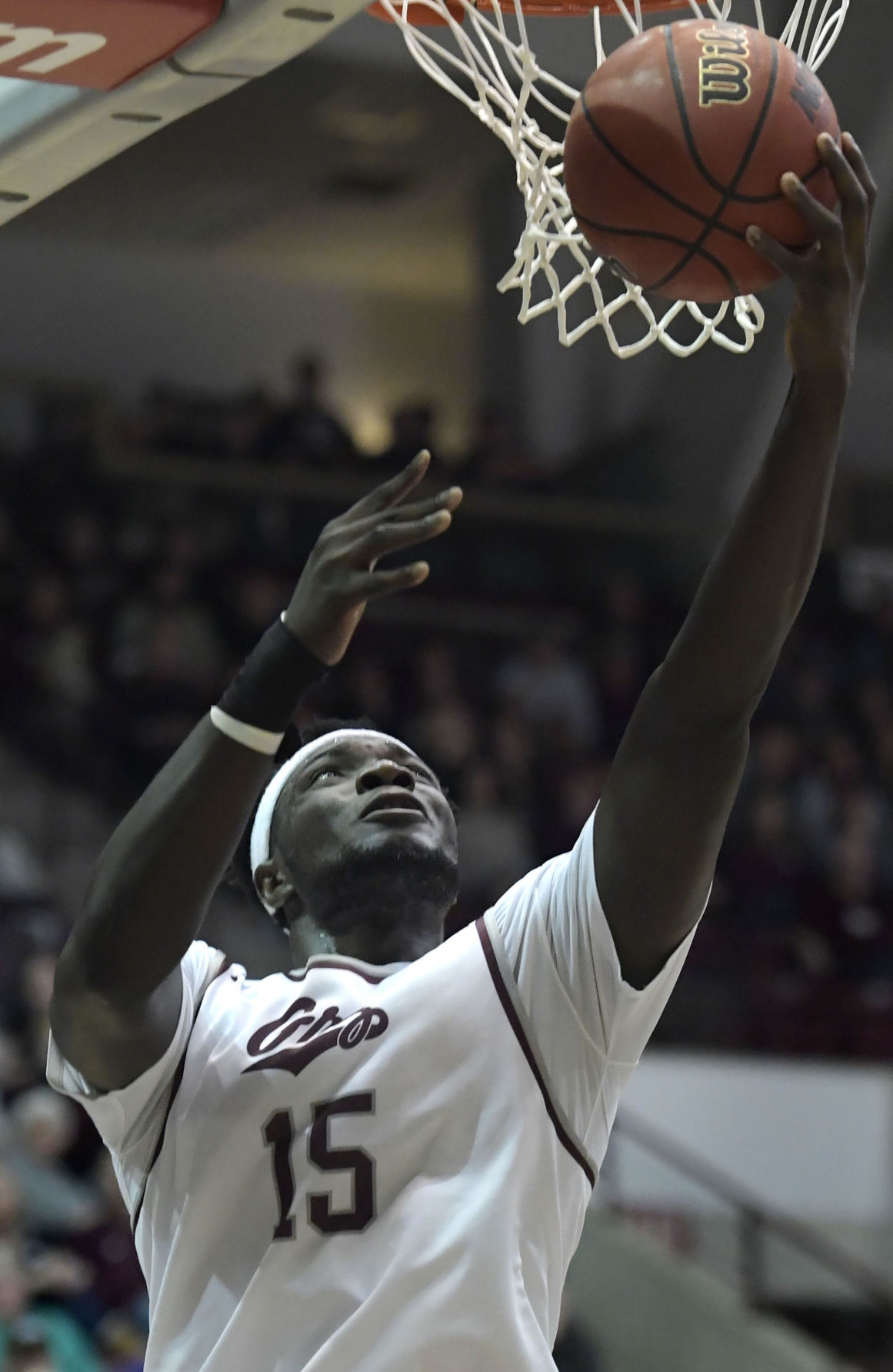Griz v Sac State 01.JPG
